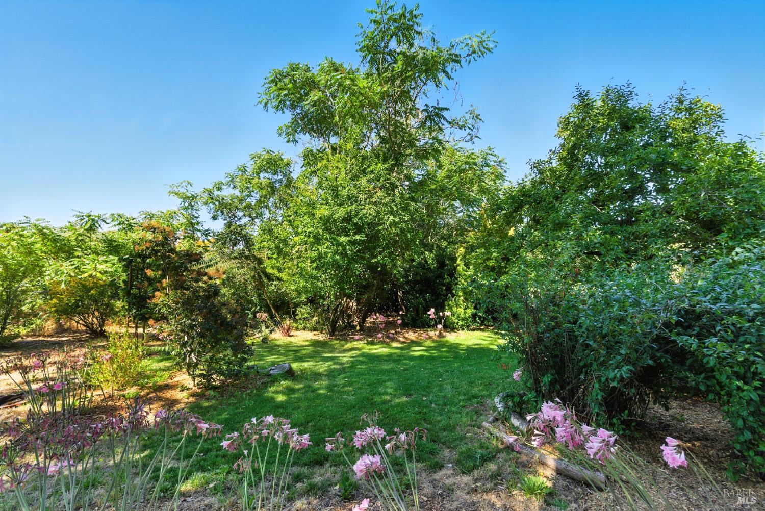 Detail Gallery Image 54 of 63 For 6750 Petaluma Hill Rd, Penngrove,  CA 94951 - 3 Beds | 2 Baths