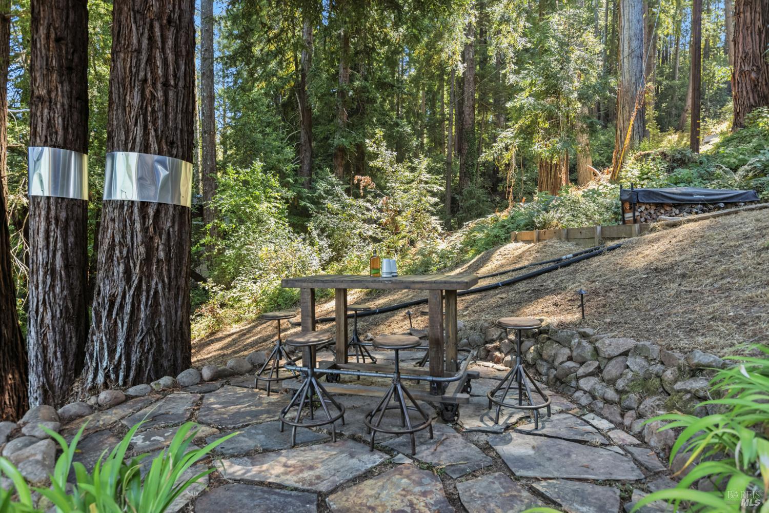 Detail Gallery Image 47 of 53 For 51 Juniper Ave, San Geronimo,  CA 94963 - 4 Beds | 3 Baths