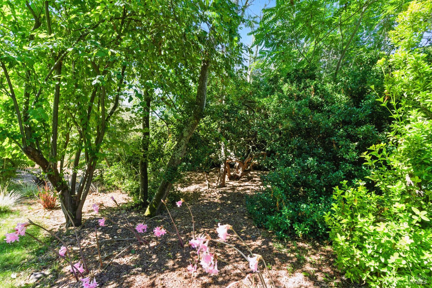 Detail Gallery Image 53 of 63 For 6750 Petaluma Hill Rd, Penngrove,  CA 94951 - 3 Beds | 2 Baths