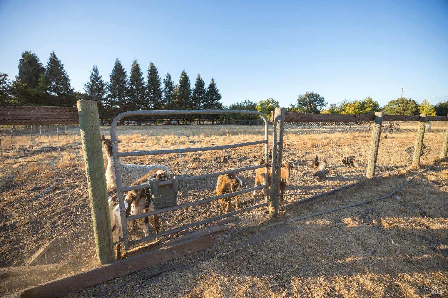 Detail Gallery Image 12 of 75 For 4100 Bisordi Ln, Santa Rosa,  CA 95439 - 5 Beds | 5 Baths