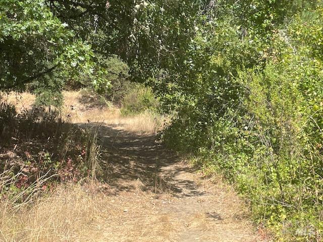 Detail Gallery Image 8 of 9 For 1591 S Main St, Willits,  CA 95490 - – Beds | – Baths
