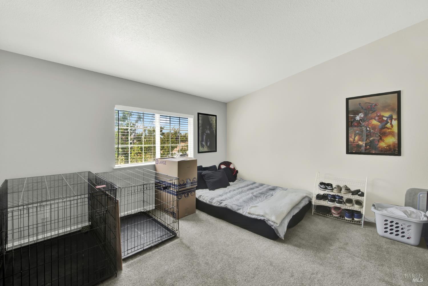 Detail Gallery Image 21 of 46 For 8498 Freedom Ln, Winters,  CA 95694 - 3 Beds | 2 Baths