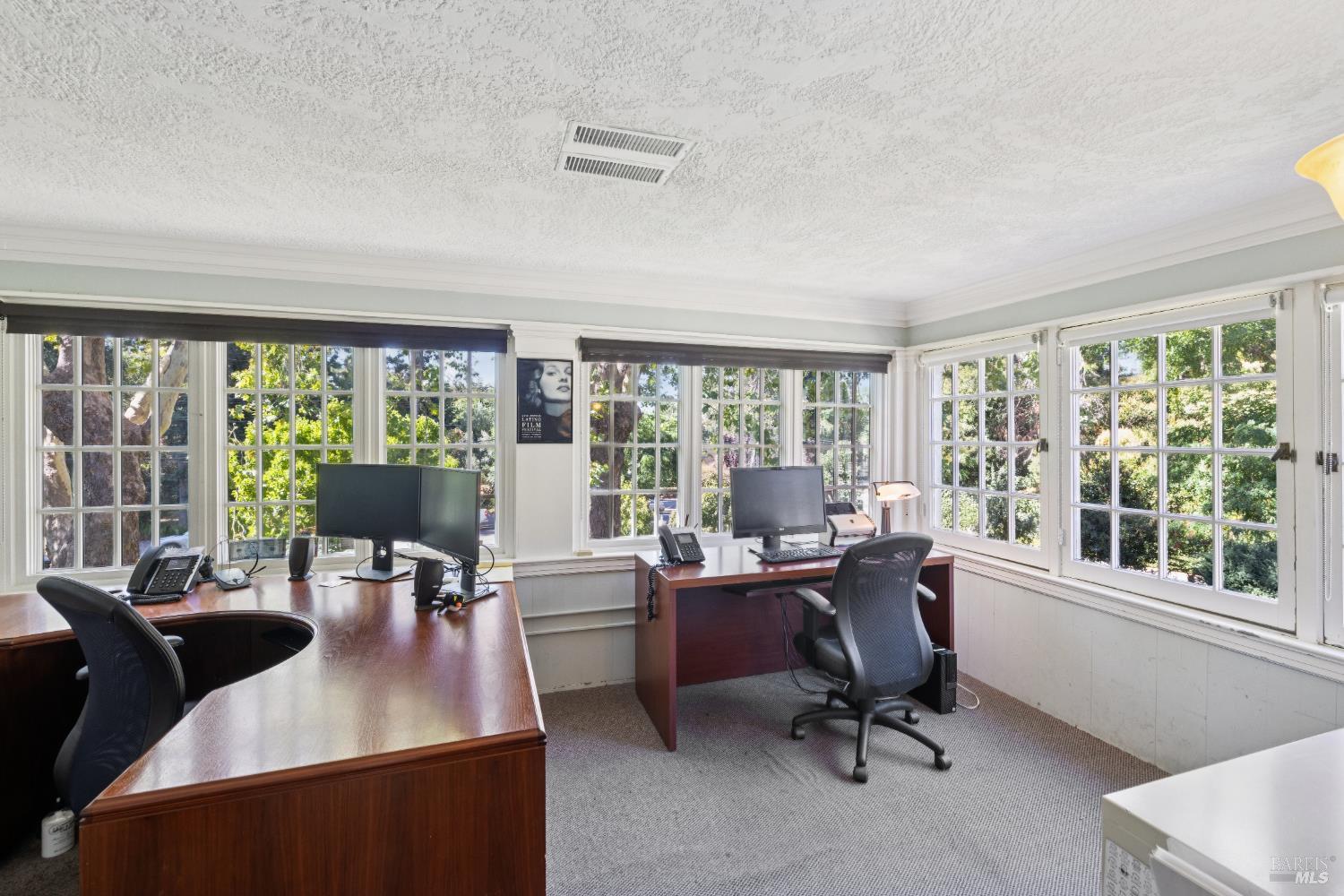 Detail Gallery Image 18 of 30 For 226 Magnolia Ave, San Rafael,  CA 94901 - 13 Beds | 2/2 Baths