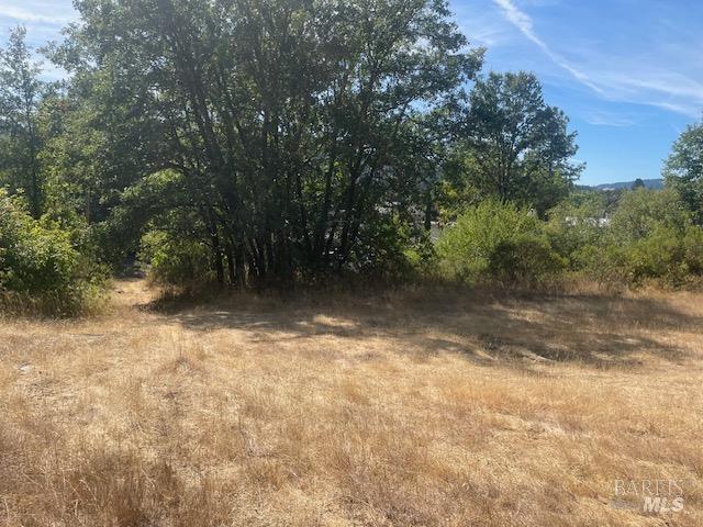 Detail Gallery Image 3 of 9 For 1591 S Main St, Willits,  CA 95490 - – Beds | – Baths