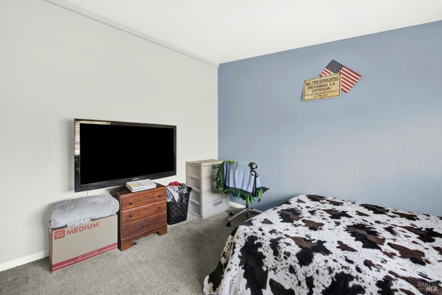 Detail Gallery Image 27 of 46 For 8498 Freedom Ln, Winters,  CA 95694 - 3 Beds | 2 Baths