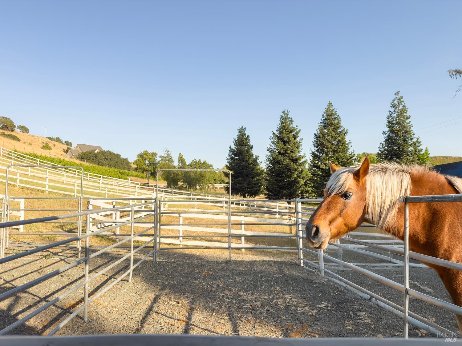 Detail Gallery Image 75 of 95 For 4560 Lovall Valley Loop Rd, Sonoma,  CA 95476 - 3 Beds | 4 Baths