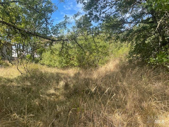Detail Gallery Image 7 of 9 For 1591 S Main St, Willits,  CA 95490 - – Beds | – Baths