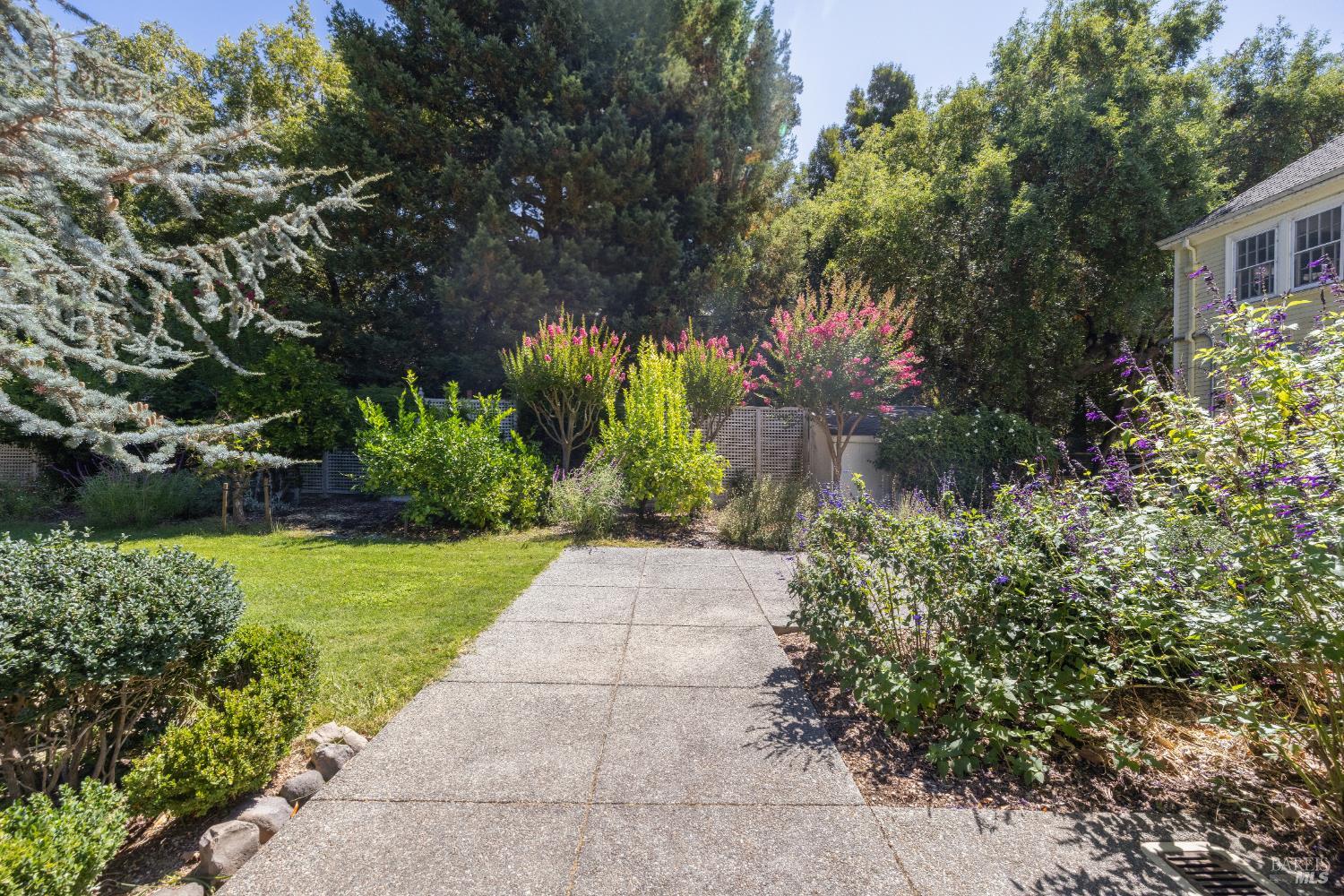 Detail Gallery Image 25 of 30 For 226 Magnolia Ave, San Rafael,  CA 94901 - 13 Beds | 2/2 Baths
