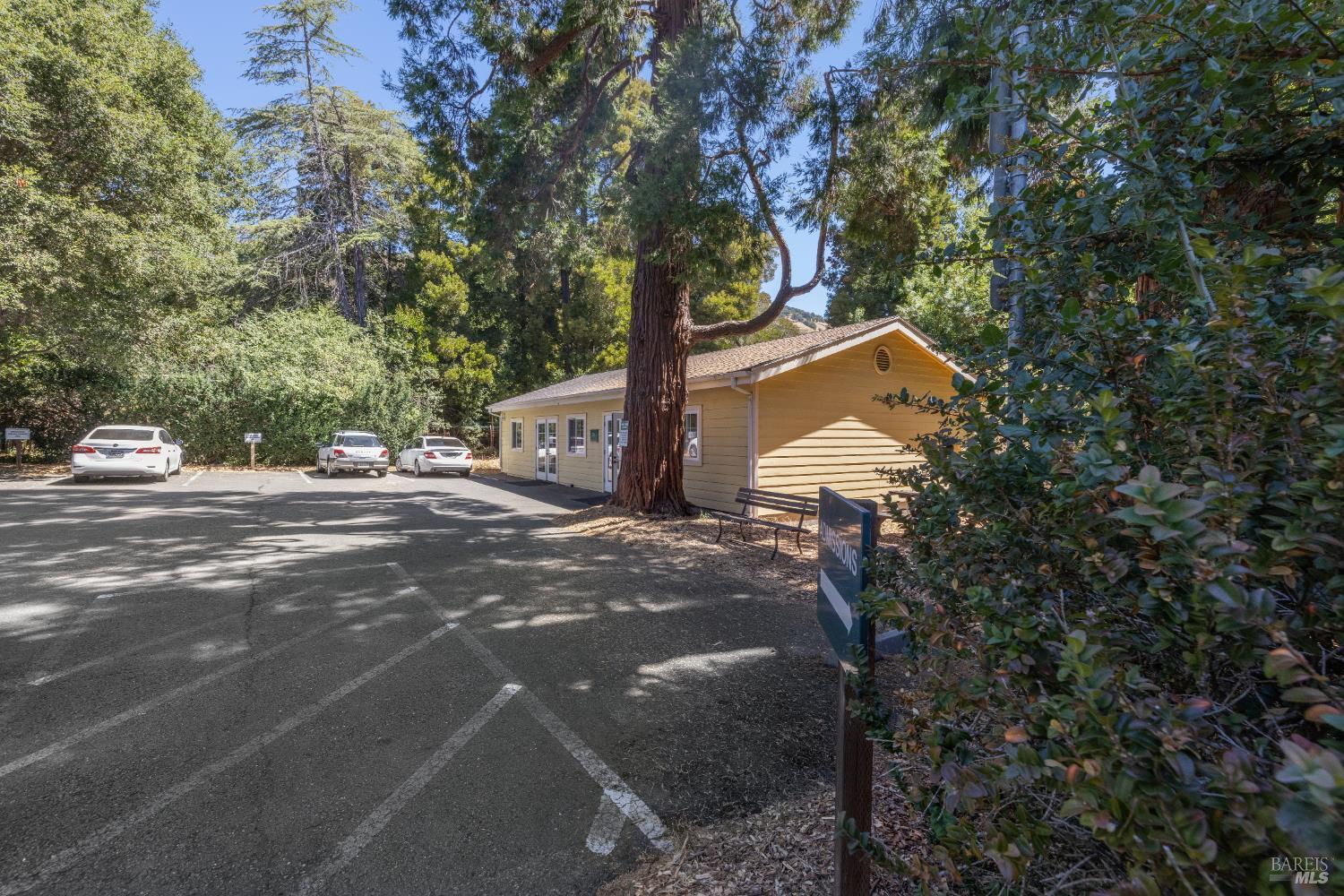 Detail Gallery Image 26 of 30 For 226 Magnolia Ave, San Rafael,  CA 94901 - 13 Beds | 2/2 Baths