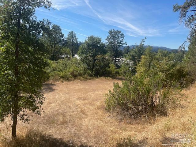 Detail Gallery Image 4 of 9 For 1591 S Main St, Willits,  CA 95490 - – Beds | – Baths