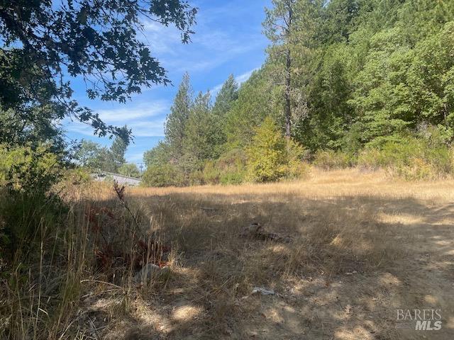 Detail Gallery Image 1 of 9 For 1591 S Main St, Willits,  CA 95490 - – Beds | – Baths