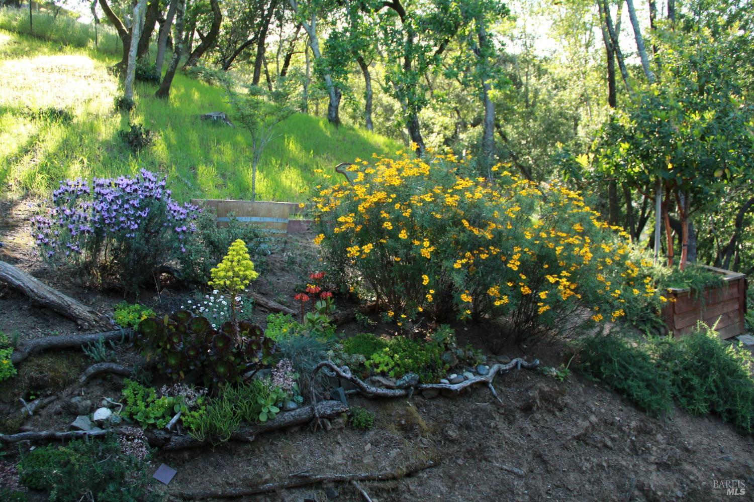 Detail Gallery Image 31 of 52 For 12 Indian Rd, San Rafael,  CA 94903 - 3 Beds | 1 Baths