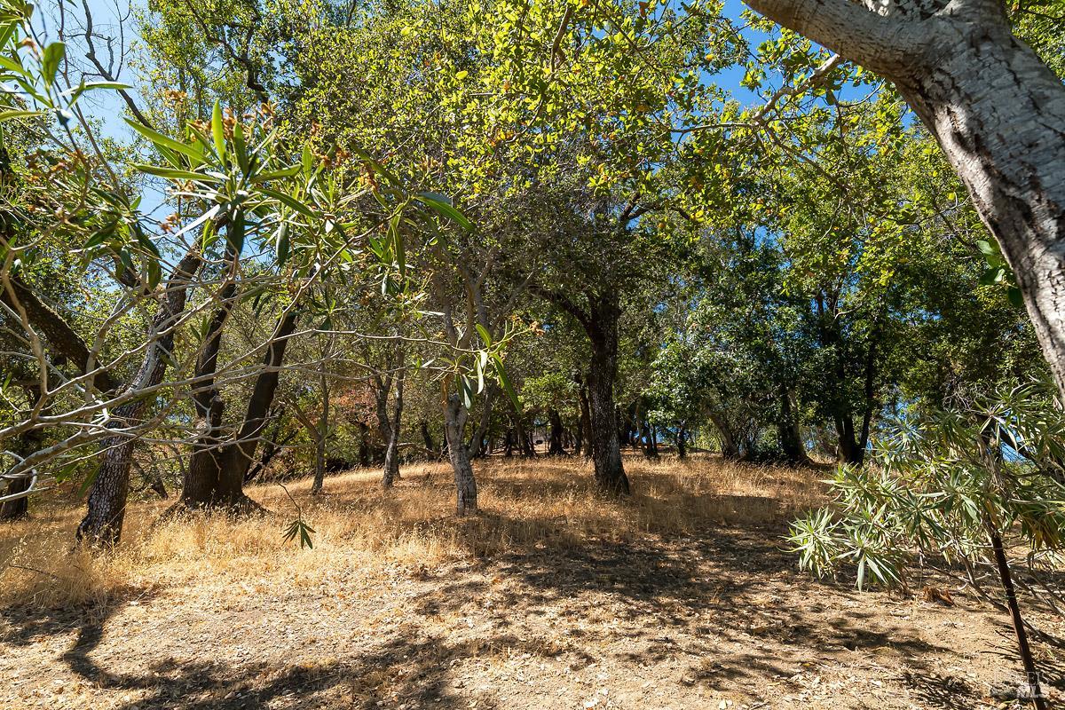 Detail Gallery Image 33 of 52 For 12 Indian Rd, San Rafael,  CA 94903 - 3 Beds | 1 Baths