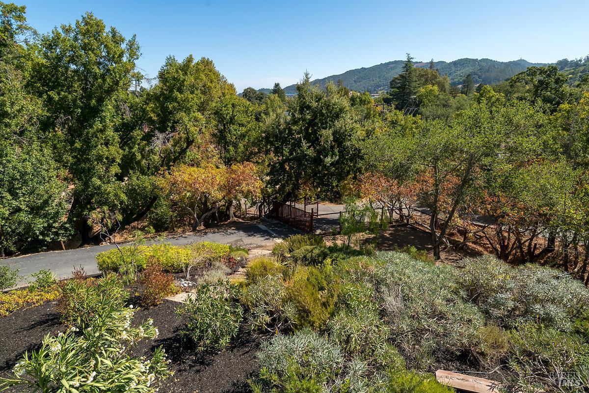 Detail Gallery Image 40 of 52 For 12 Indian Rd, San Rafael,  CA 94903 - 3 Beds | 1 Baths