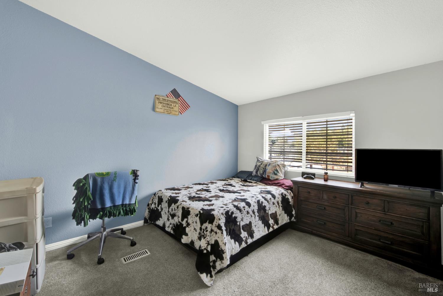 Detail Gallery Image 26 of 46 For 8498 Freedom Ln, Winters,  CA 95694 - 3 Beds | 2 Baths