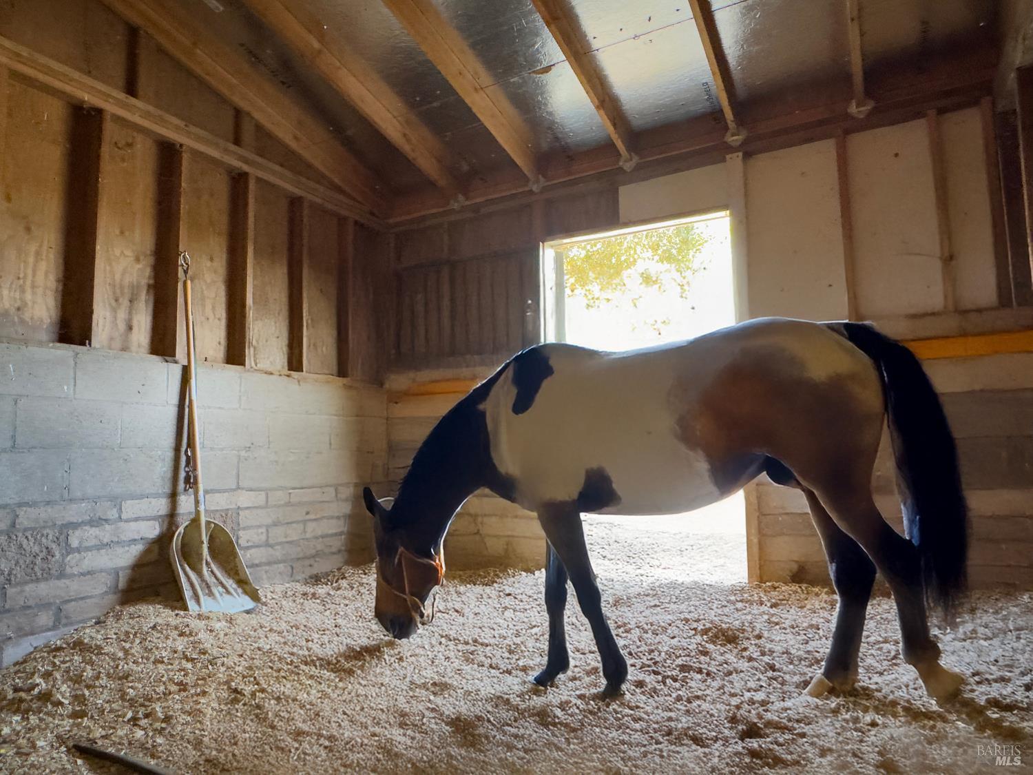Detail Gallery Image 72 of 95 For 4560 Lovall Valley Loop Rd, Sonoma,  CA 95476 - 3 Beds | 4 Baths