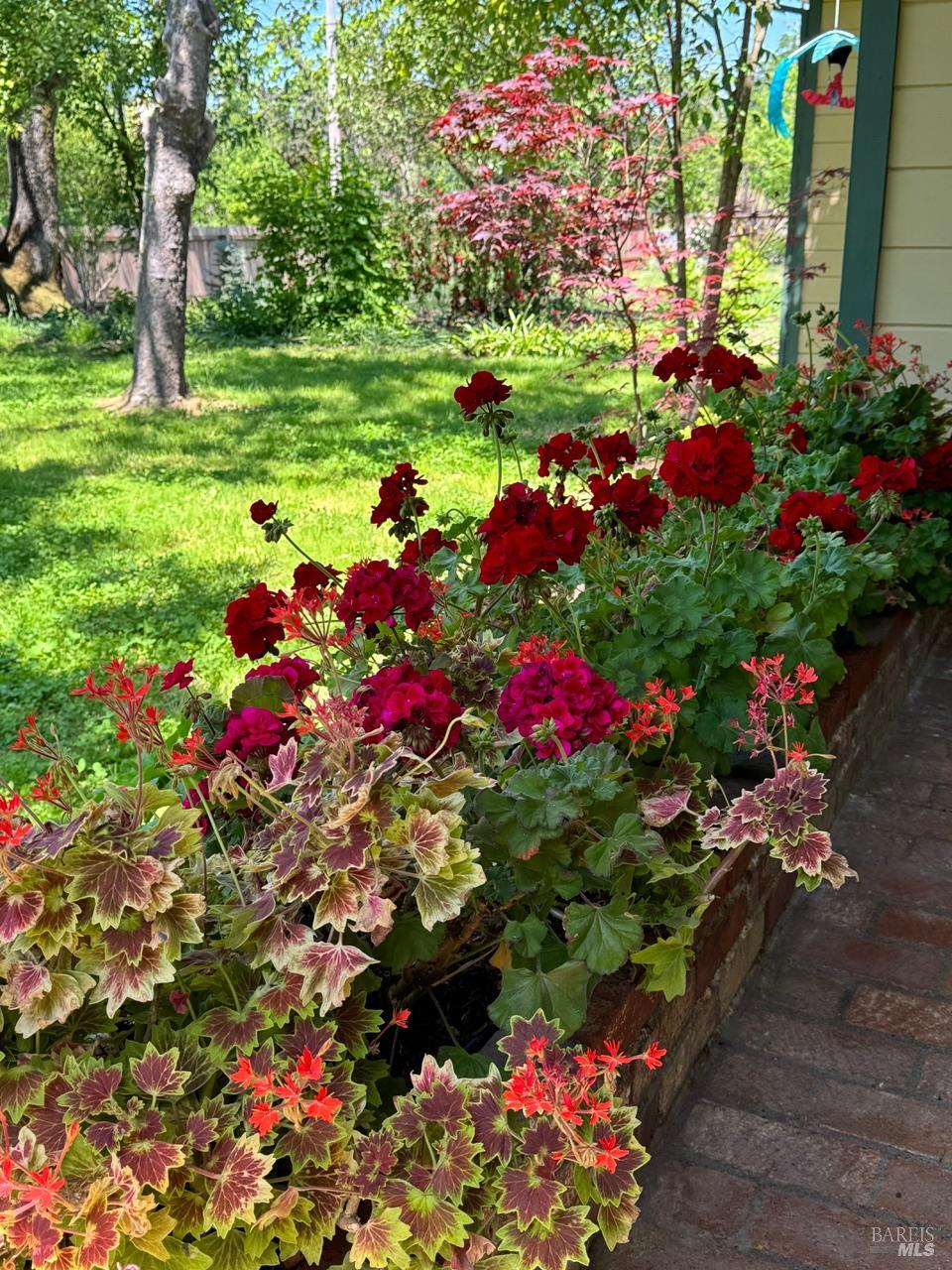 Detail Gallery Image 5 of 65 For 644 Piezzi Rd, Santa Rosa,  CA 95401 - 3 Beds | 1/1 Baths