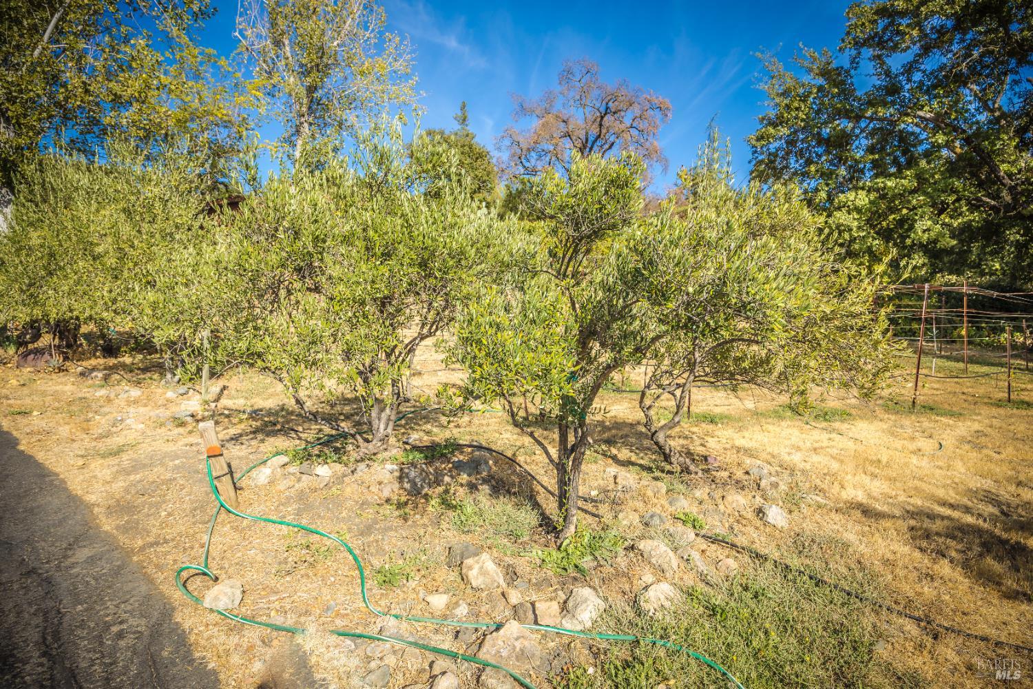 Detail Gallery Image 32 of 43 For 28678 River Rd, Cloverdale,  CA 95425 - 2 Beds | 1/1 Baths