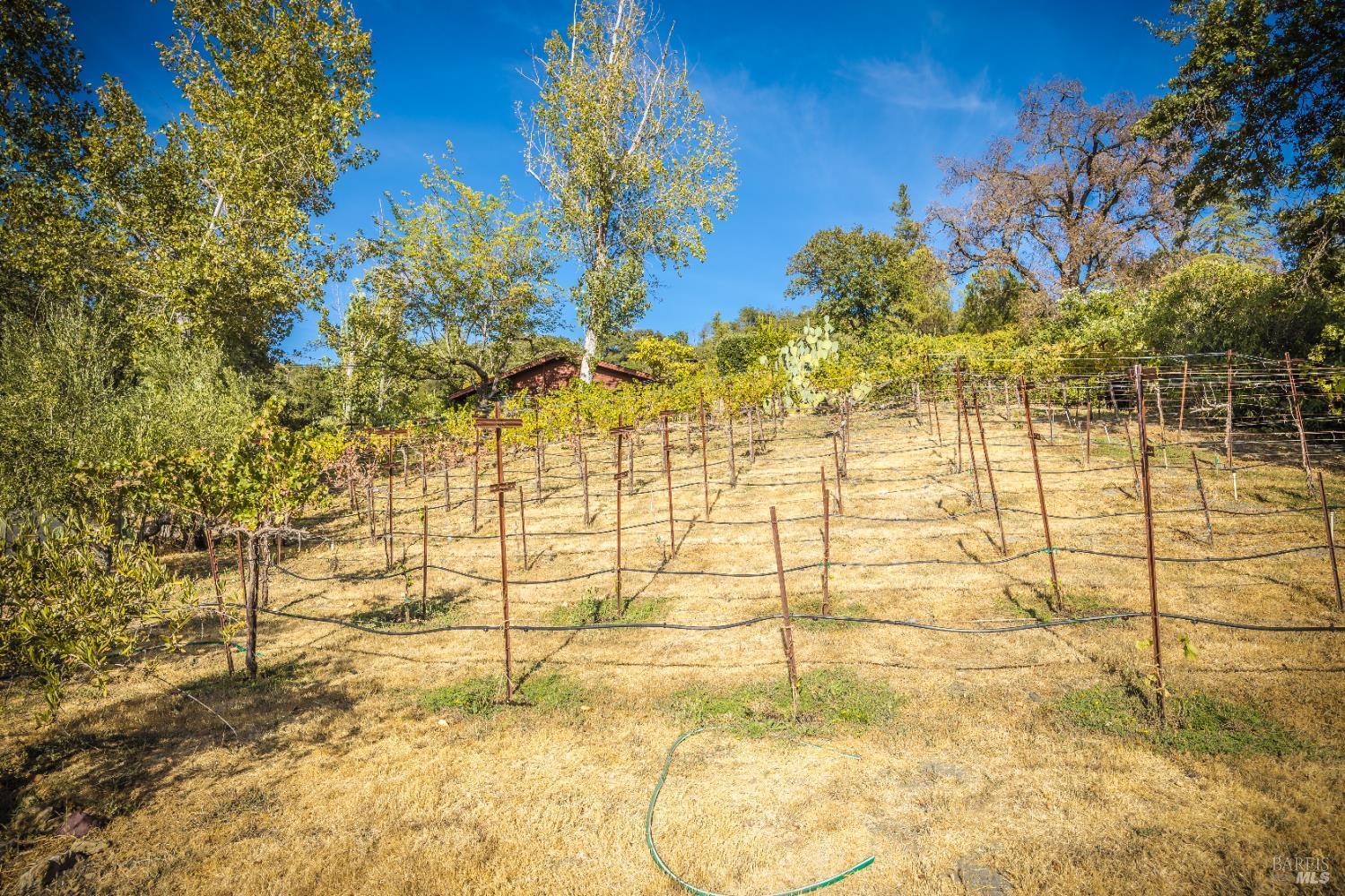 Detail Gallery Image 30 of 43 For 28678 River Rd, Cloverdale,  CA 95425 - 2 Beds | 1/1 Baths