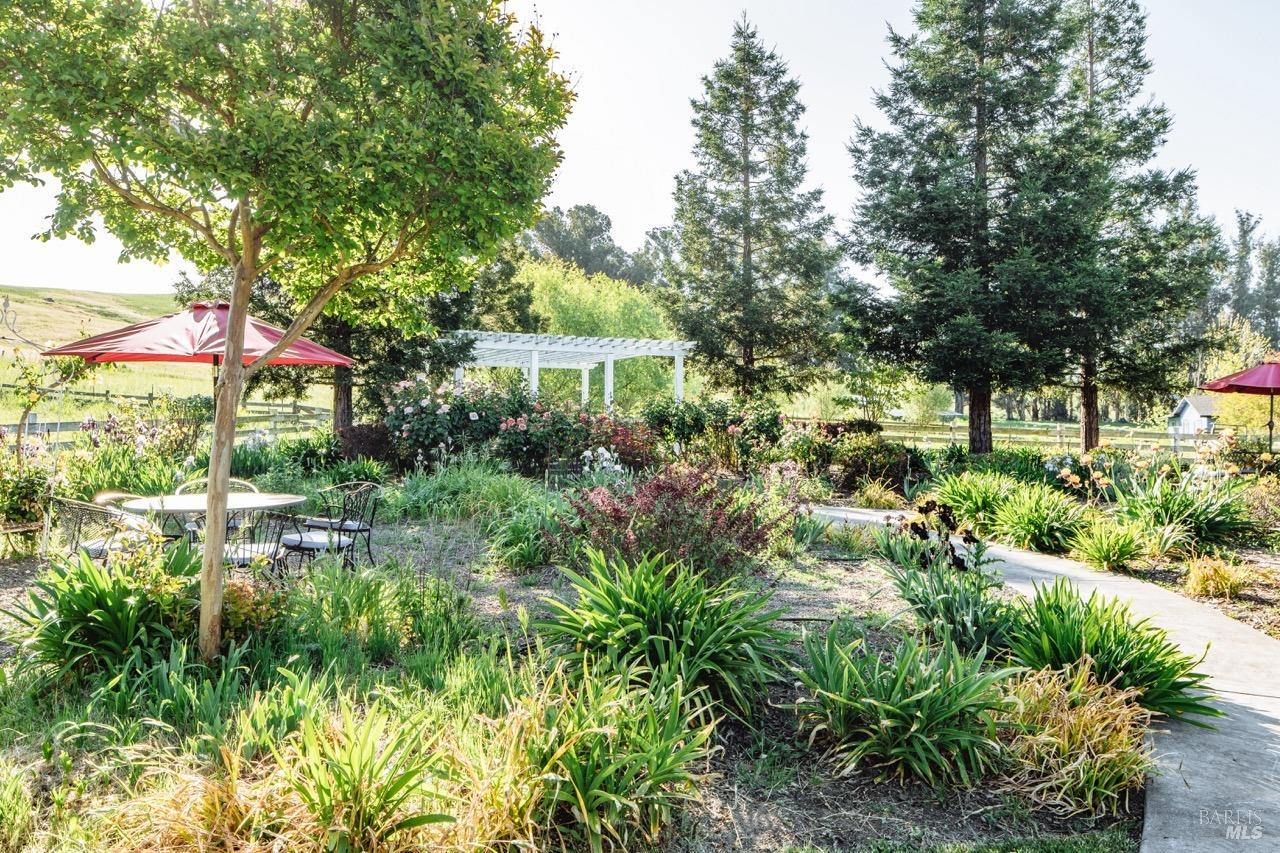 Detail Gallery Image 48 of 69 For 5215 Lakeville Hwy, Petaluma,  CA 94954 - 6 Beds | 5/1 Baths