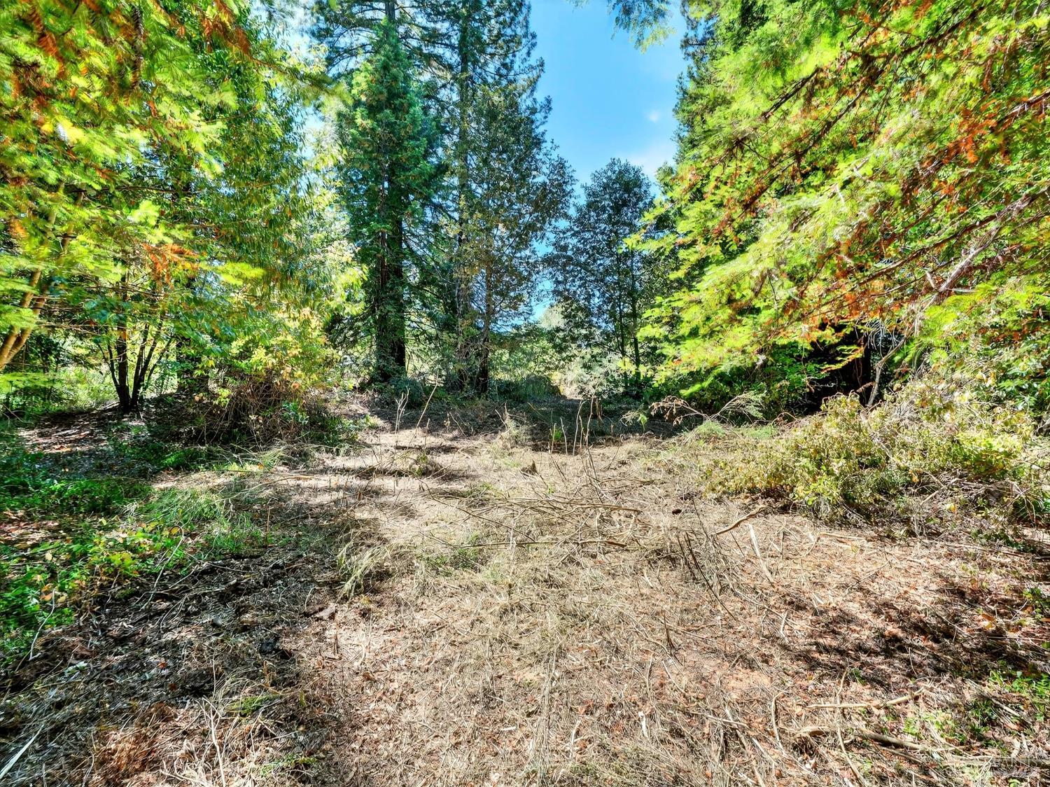 Detail Gallery Image 14 of 35 For 13353 Pocket Canyon Rd, Guerneville,  CA 95446 - – Beds | – Baths
