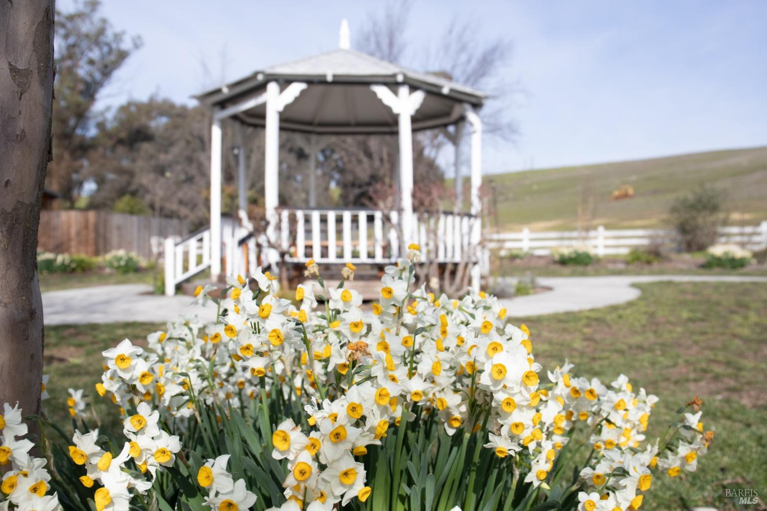 Detail Gallery Image 50 of 69 For 5215 Lakeville Hwy, Petaluma,  CA 94954 - 6 Beds | 5/1 Baths