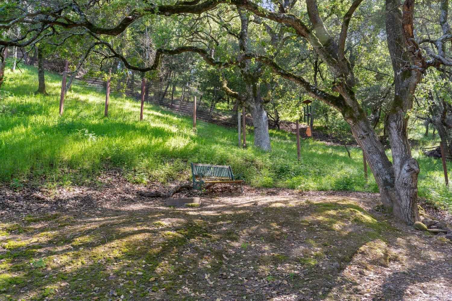 Detail Gallery Image 44 of 50 For 25 Palomino Cir, Novato,  CA 94947 - 5 Beds | 2/1 Baths