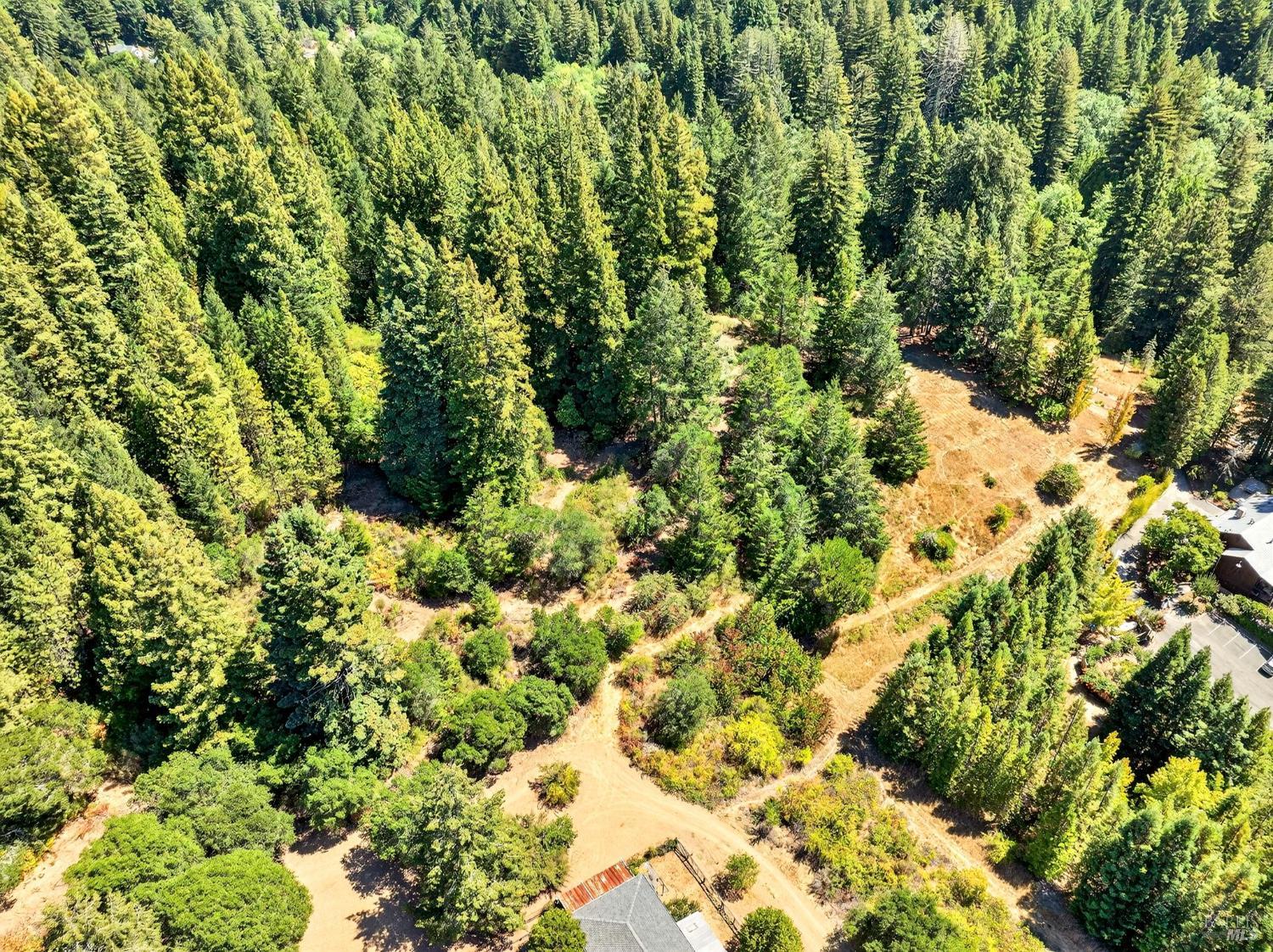 Detail Gallery Image 4 of 35 For 13353 Pocket Canyon Rd, Guerneville,  CA 95446 - – Beds | – Baths