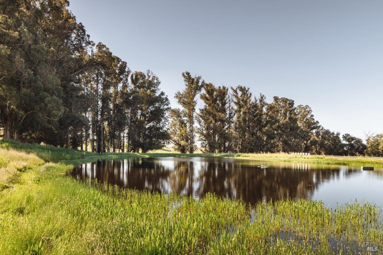 Detail Gallery Image 54 of 69 For 5215 Lakeville Hwy, Petaluma,  CA 94954 - 6 Beds | 5/1 Baths