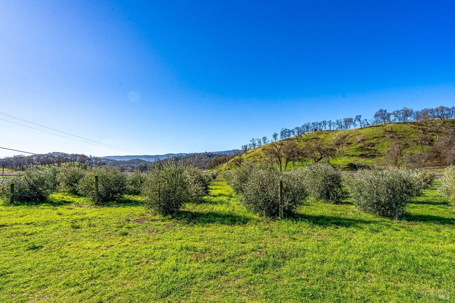 Detail Gallery Image 27 of 31 For 7871 Butts Canyon Rd, Pope Valley,  CA 94567 - 1 Beds | 1 Baths