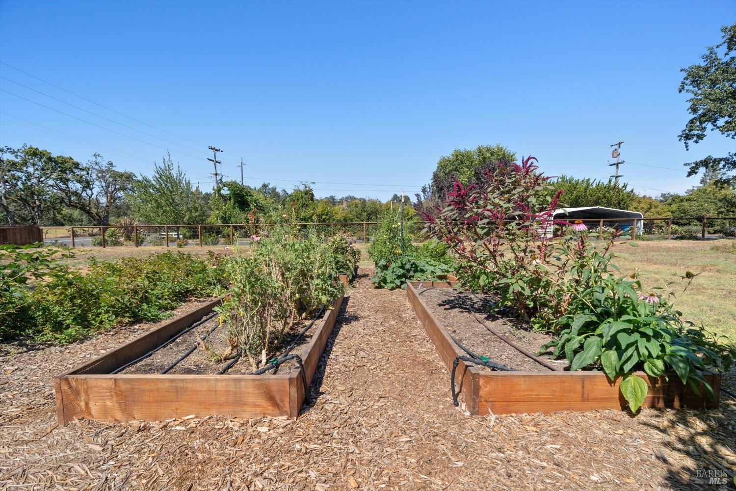 Detail Gallery Image 48 of 65 For 644 Piezzi Rd, Santa Rosa,  CA 95401 - 3 Beds | 1/1 Baths