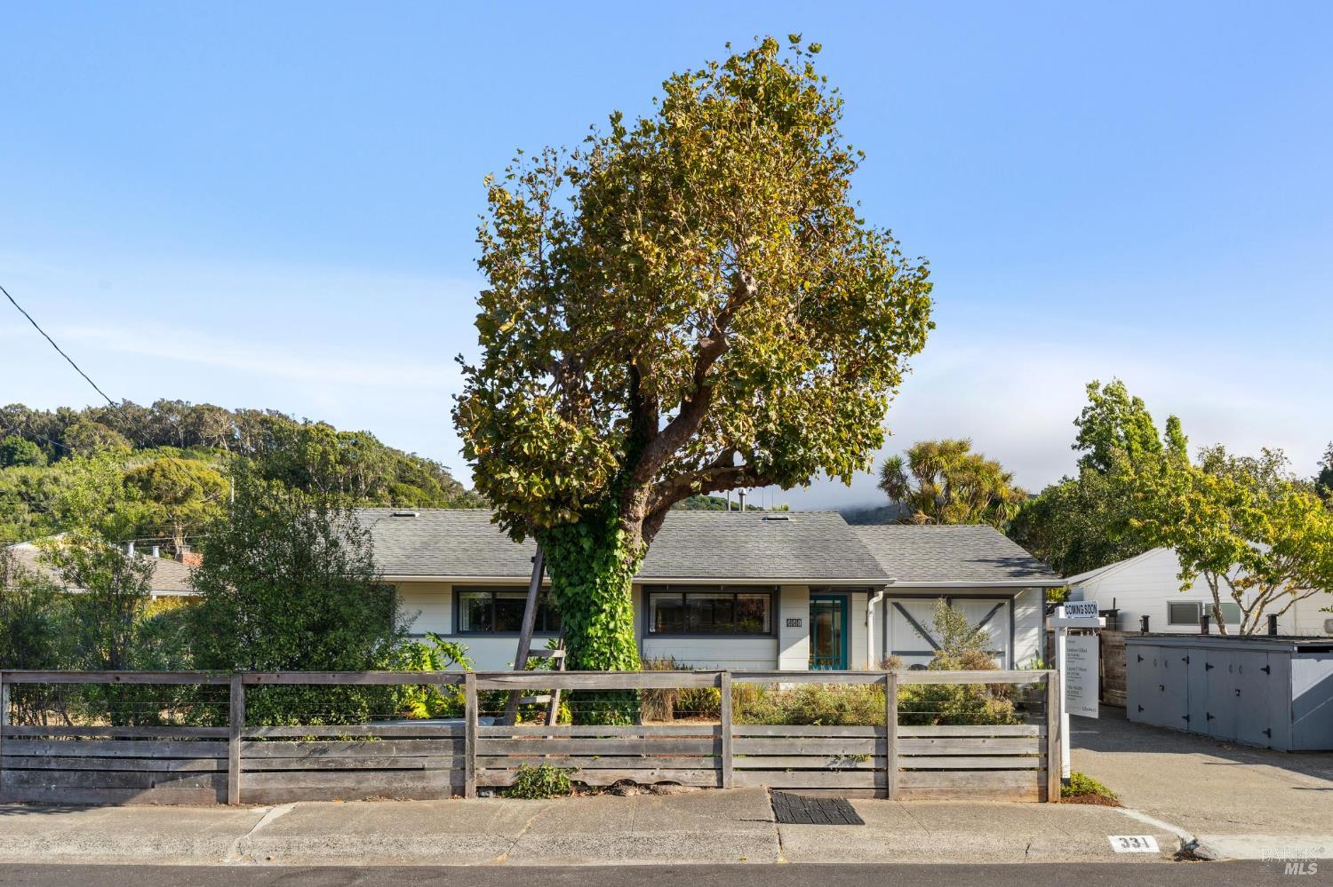 Detail Gallery Image 44 of 46 For 331 Starling Rd, Mill Valley,  CA 94941 - 3 Beds | 1 Baths