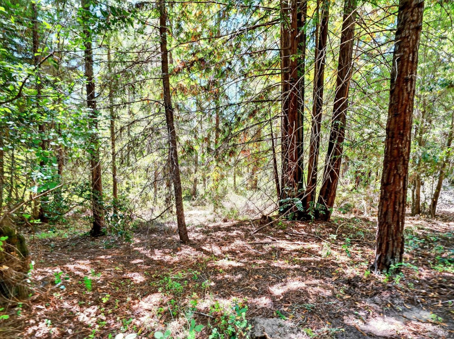 Detail Gallery Image 17 of 35 For 13353 Pocket Canyon Rd, Guerneville,  CA 95446 - – Beds | – Baths