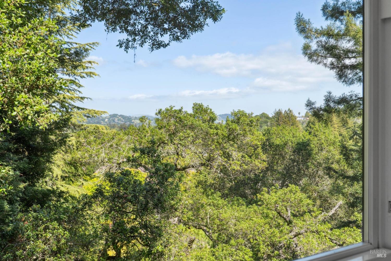 Detail Gallery Image 20 of 50 For 25 Palomino Cir, Novato,  CA 94947 - 5 Beds | 2/1 Baths
