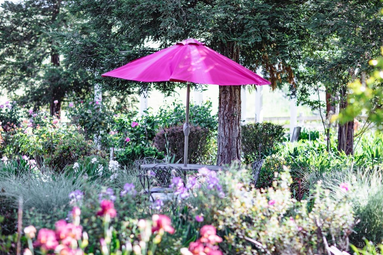 Detail Gallery Image 52 of 69 For 5215 Lakeville Hwy, Petaluma,  CA 94954 - 6 Beds | 5/1 Baths