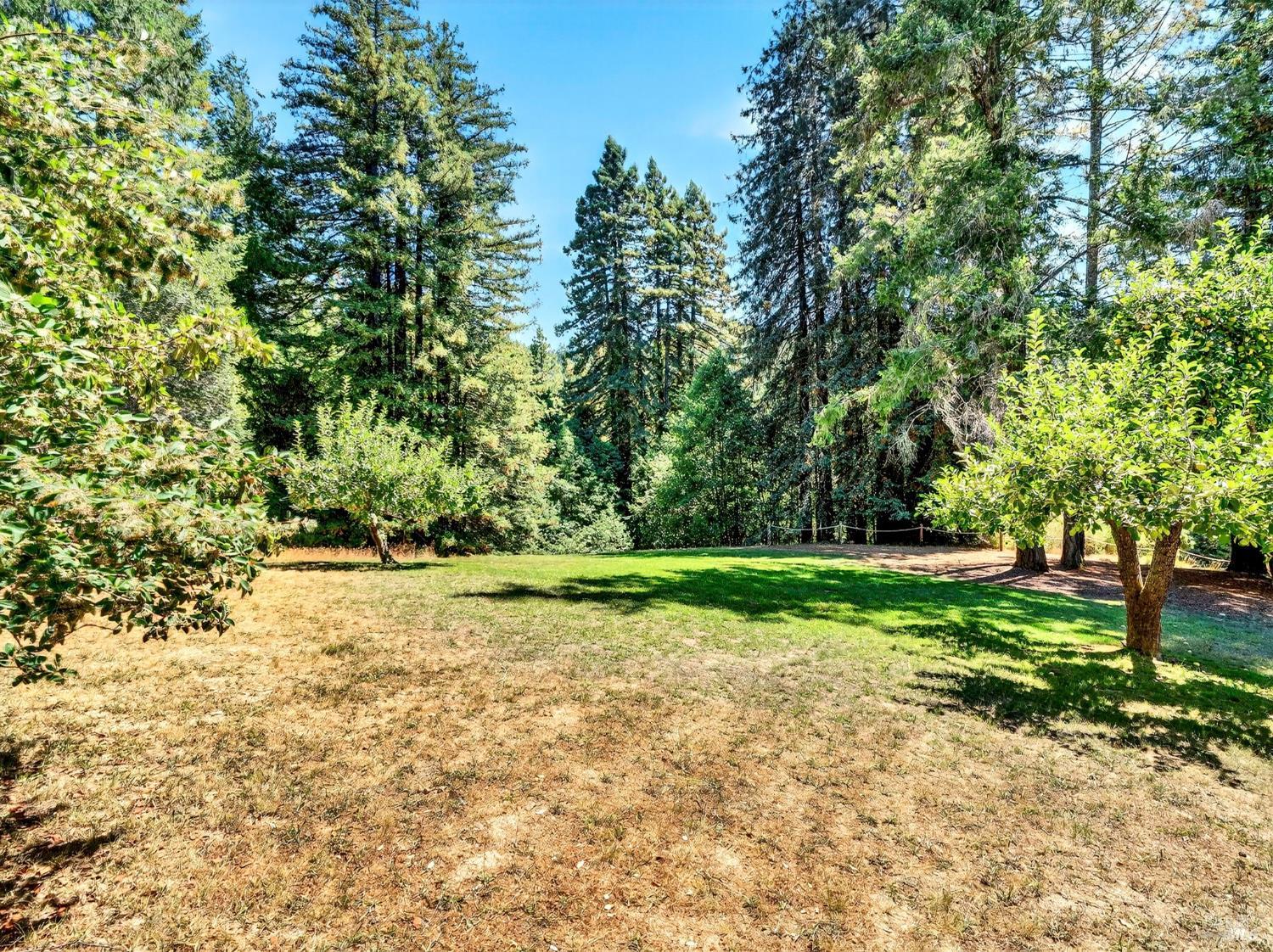 Detail Gallery Image 13 of 35 For 13353 Pocket Canyon Rd, Guerneville,  CA 95446 - – Beds | – Baths