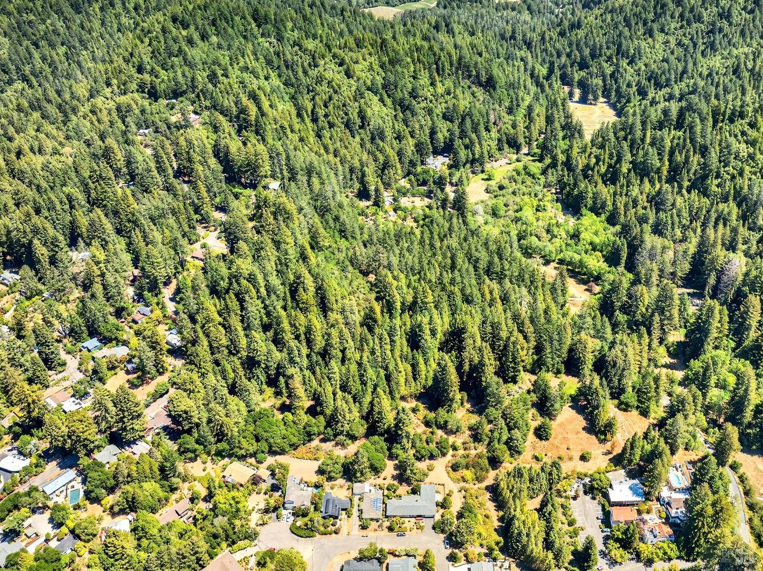 Detail Gallery Image 25 of 35 For 13353 Pocket Canyon Rd, Guerneville,  CA 95446 - – Beds | – Baths