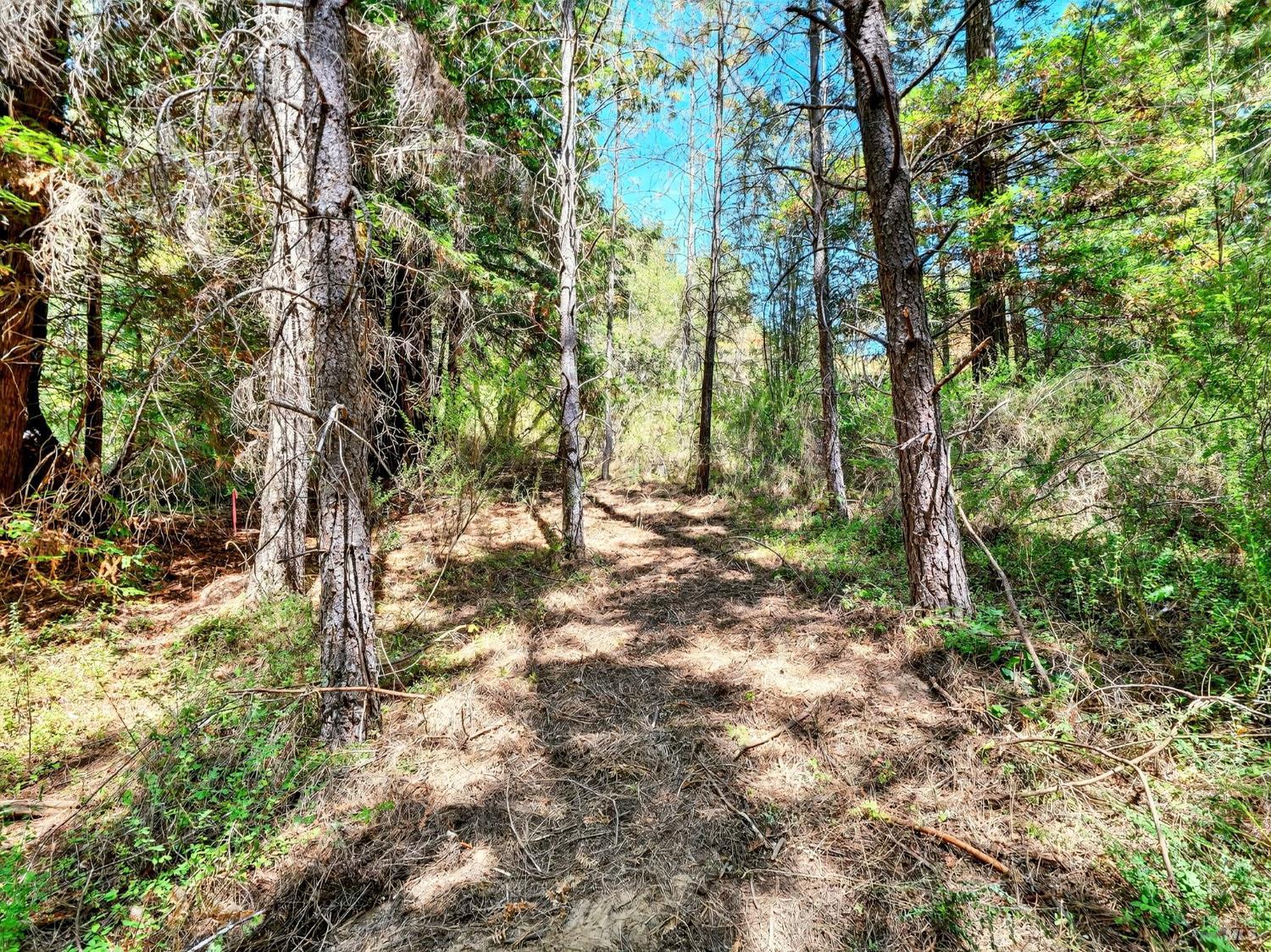 Detail Gallery Image 18 of 35 For 13353 Pocket Canyon Rd, Guerneville,  CA 95446 - – Beds | – Baths