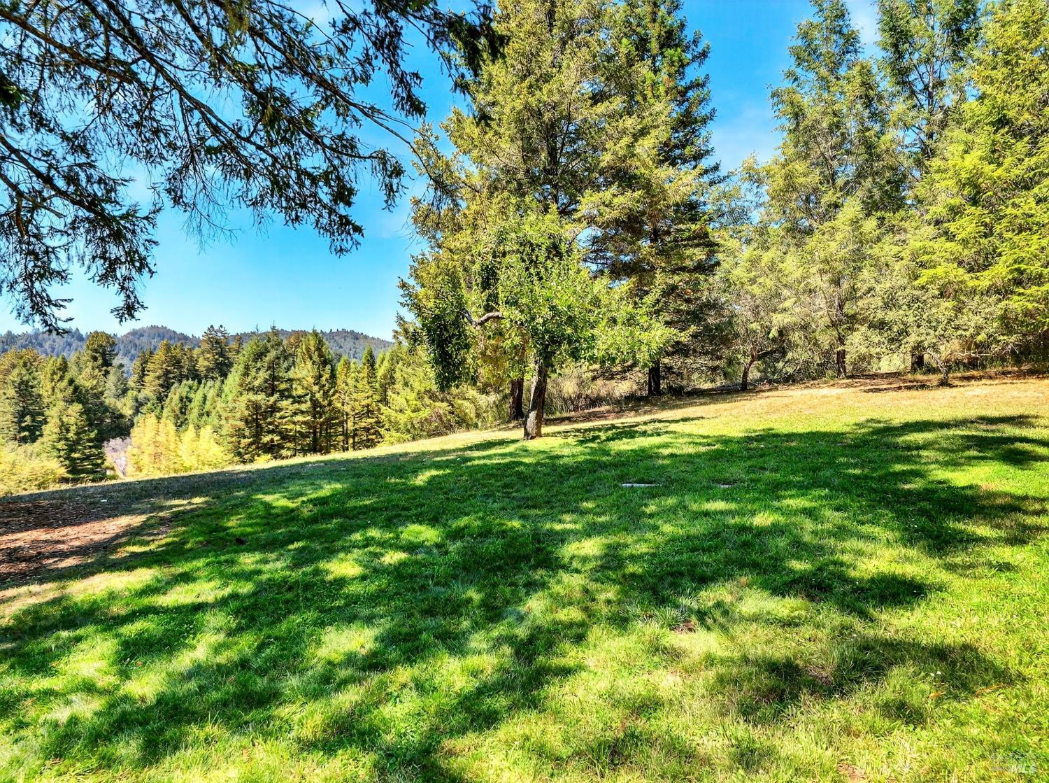 Detail Gallery Image 12 of 35 For 13353 Pocket Canyon Rd, Guerneville,  CA 95446 - – Beds | – Baths