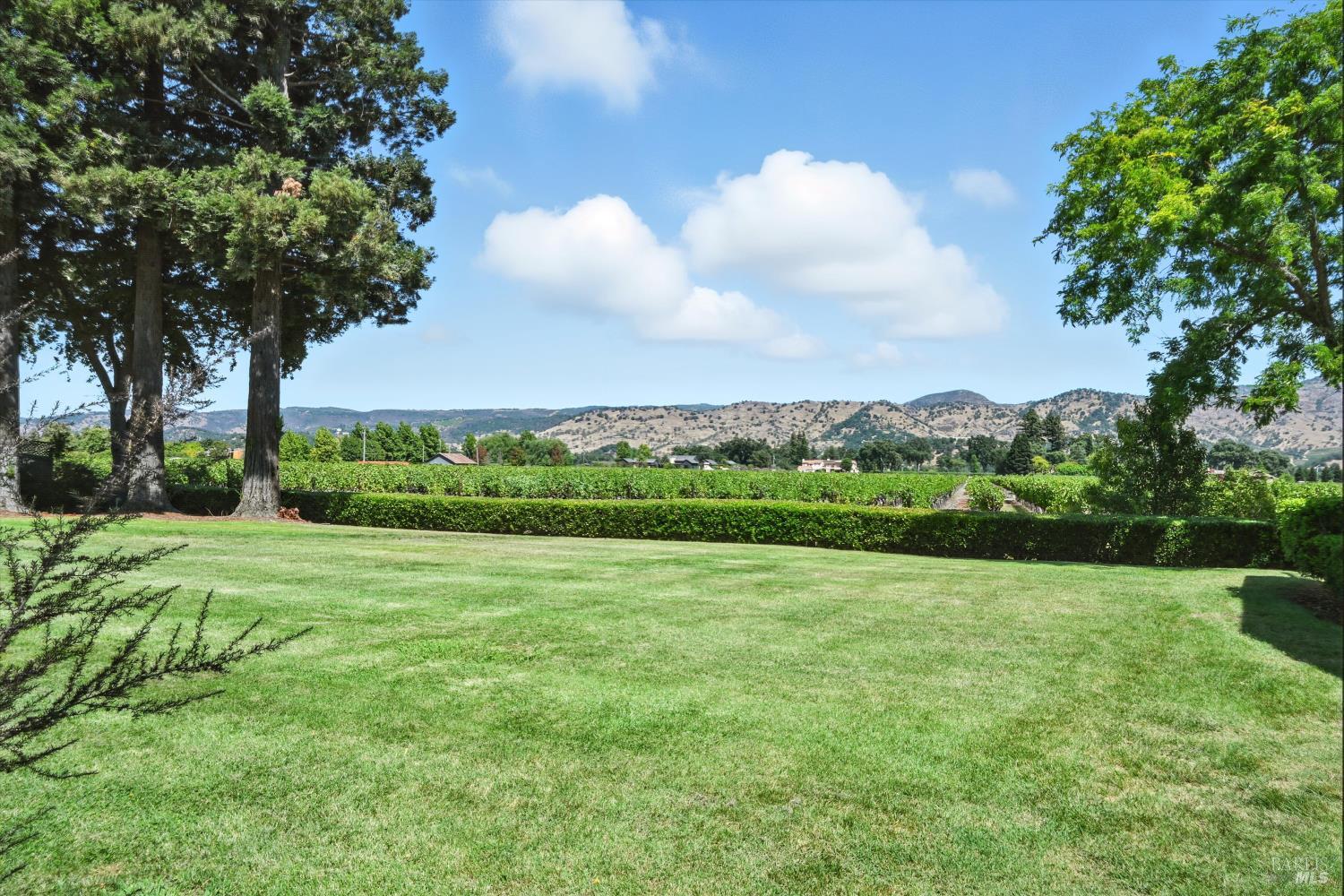 Detail Gallery Image 22 of 30 For 152 Vineyard Cir, Yountville,  CA 94599 - 2 Beds | 2 Baths
