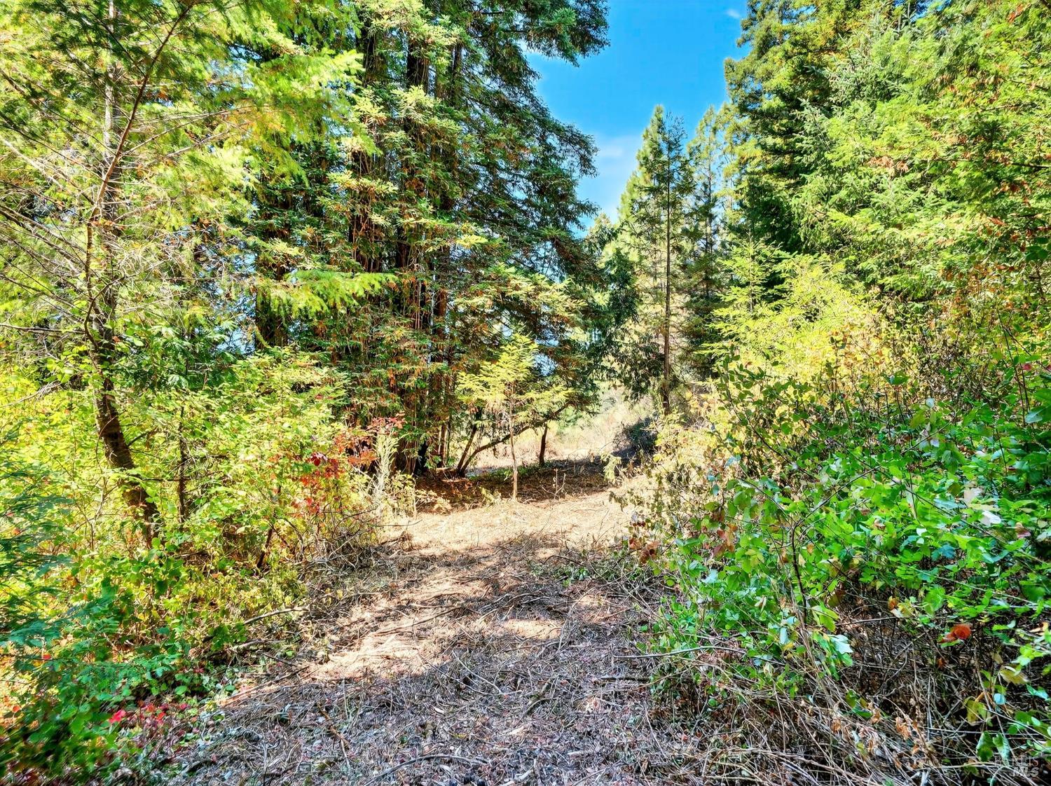 Detail Gallery Image 16 of 35 For 13353 Pocket Canyon Rd, Guerneville,  CA 95446 - – Beds | – Baths