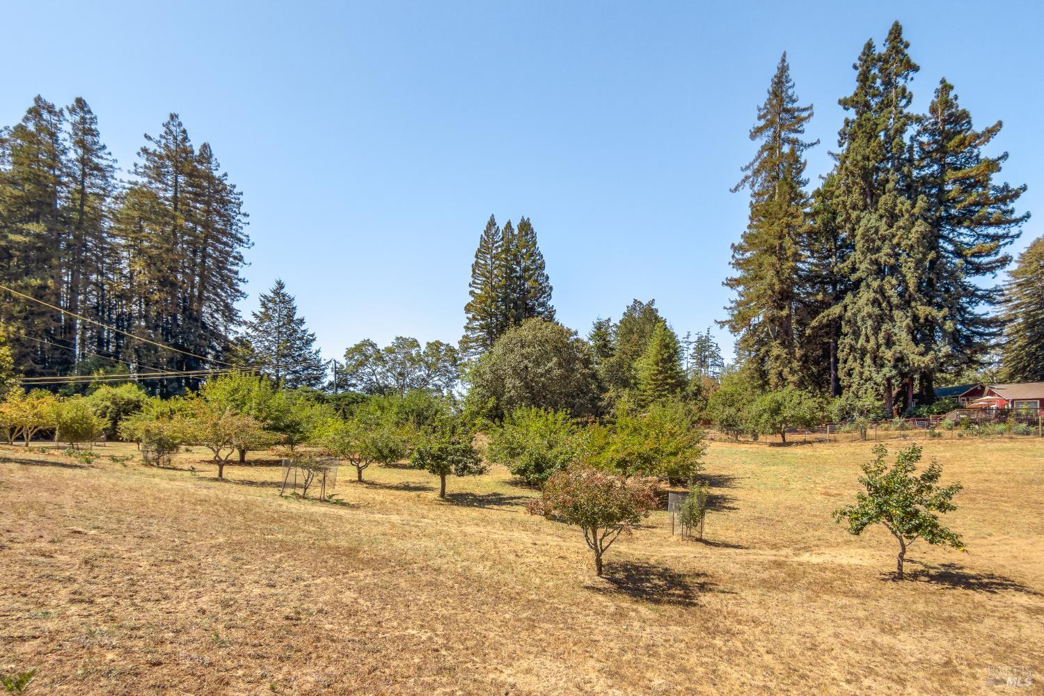 Detail Gallery Image 4 of 43 For 11370 Occidental Rd, Sebastopol,  CA 95472 - 4 Beds | 3 Baths