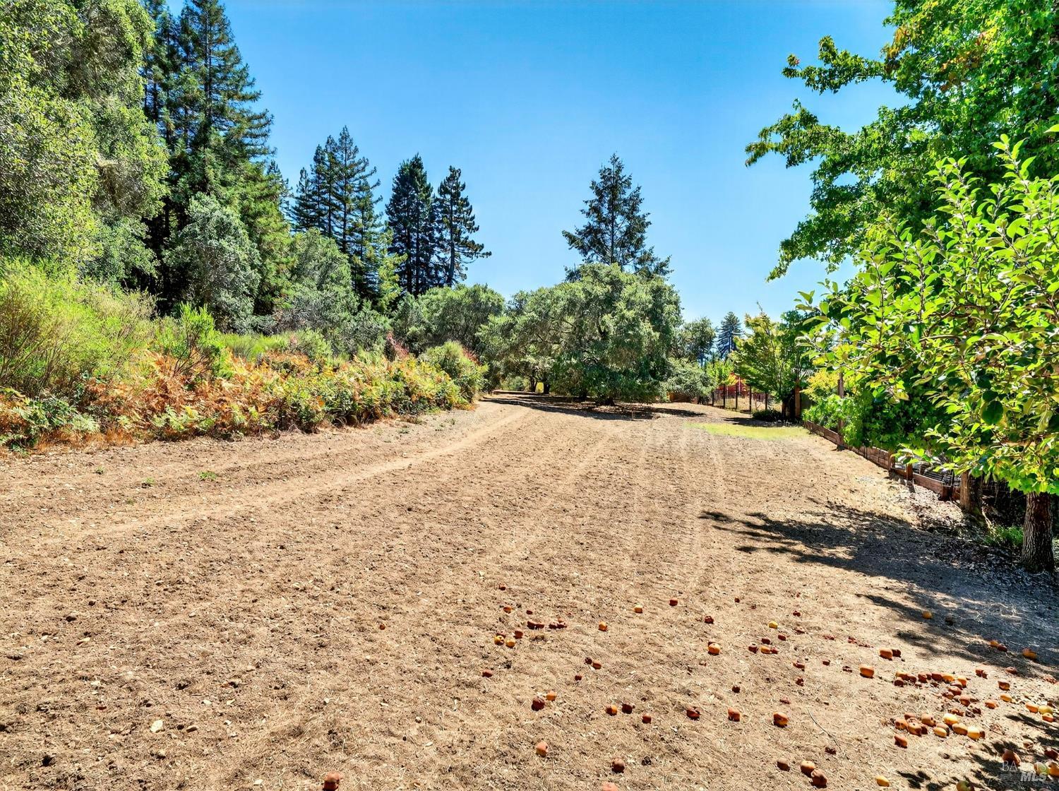 Detail Gallery Image 8 of 35 For 13353 Pocket Canyon Rd, Guerneville,  CA 95446 - – Beds | – Baths