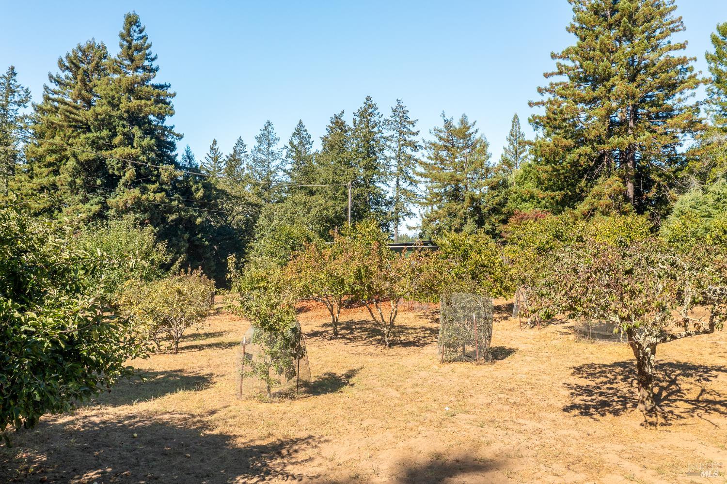Detail Gallery Image 3 of 43 For 11370 Occidental Rd, Sebastopol,  CA 95472 - 4 Beds | 3 Baths