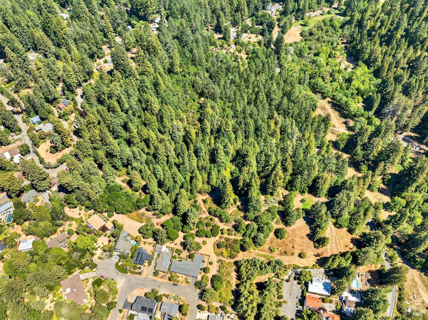 Detail Gallery Image 3 of 35 For 13353 Pocket Canyon Rd, Guerneville,  CA 95446 - – Beds | – Baths