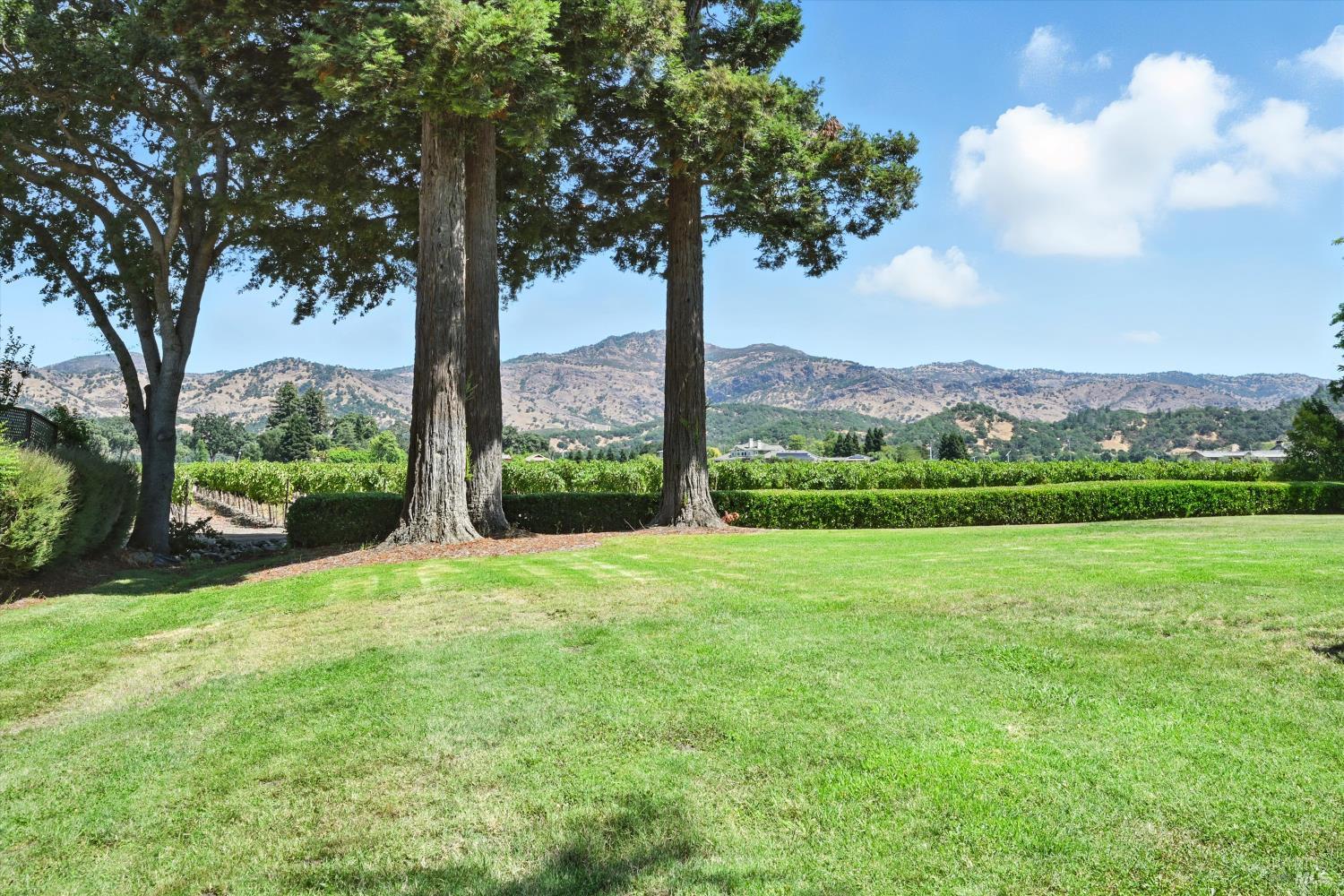 Detail Gallery Image 23 of 30 For 152 Vineyard Cir, Yountville,  CA 94599 - 2 Beds | 2 Baths