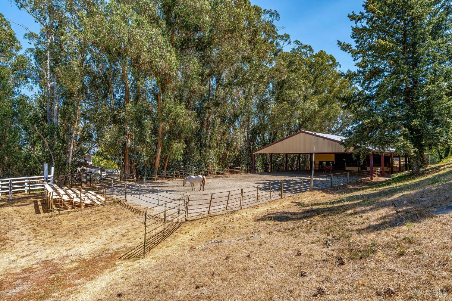 Detail Gallery Image 21 of 87 For 411 Highland Ave, Penngrove,  CA 94951 - 6 Beds | 5/1 Baths
