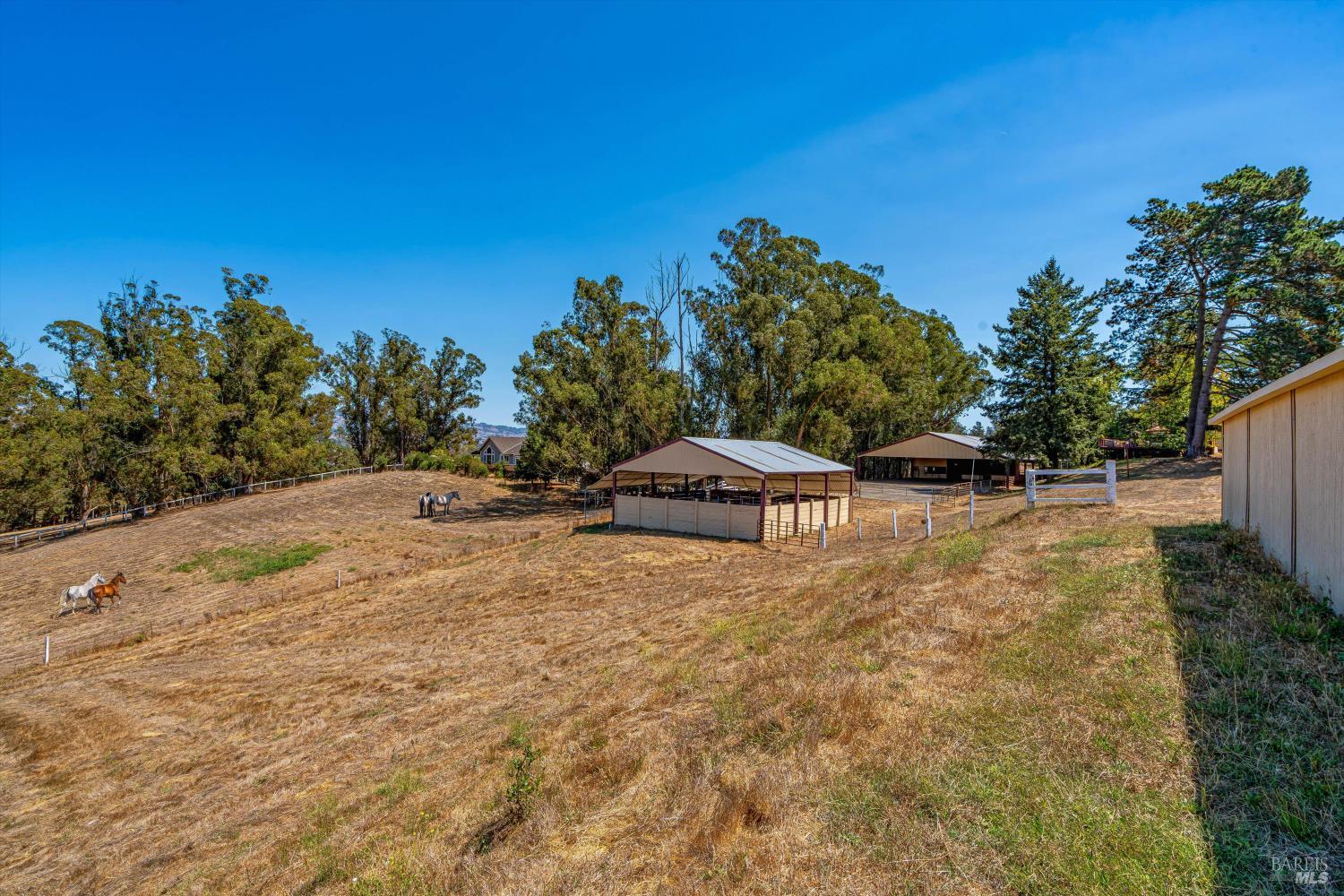 Detail Gallery Image 45 of 87 For 411 Highland Ave, Penngrove,  CA 94951 - 6 Beds | 5/1 Baths