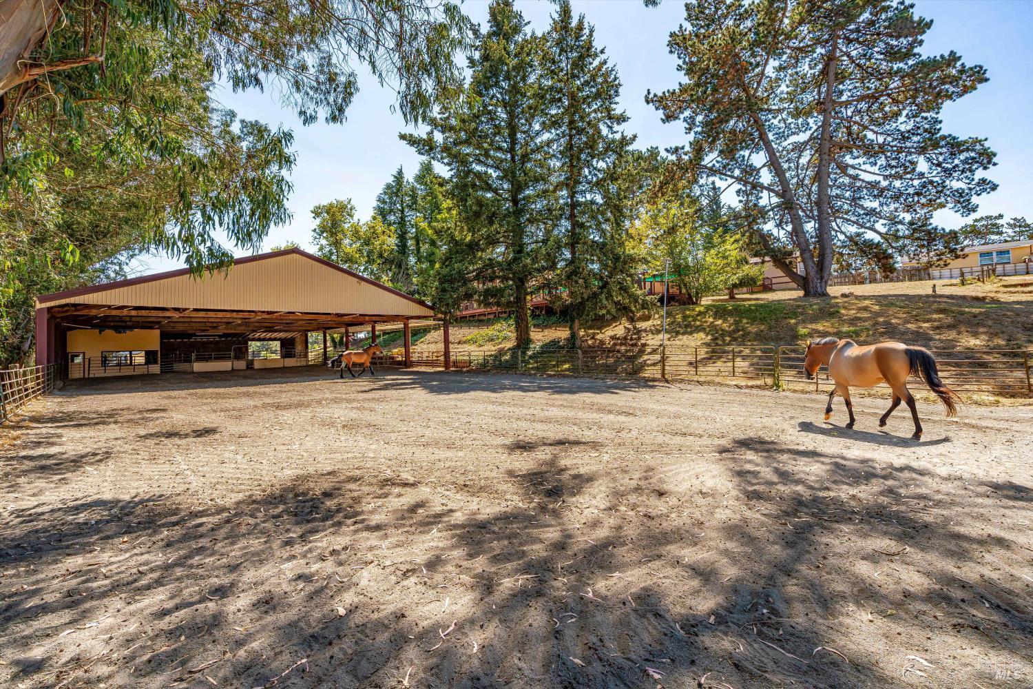 Detail Gallery Image 22 of 87 For 411 Highland Ave, Penngrove,  CA 94951 - 6 Beds | 5/1 Baths