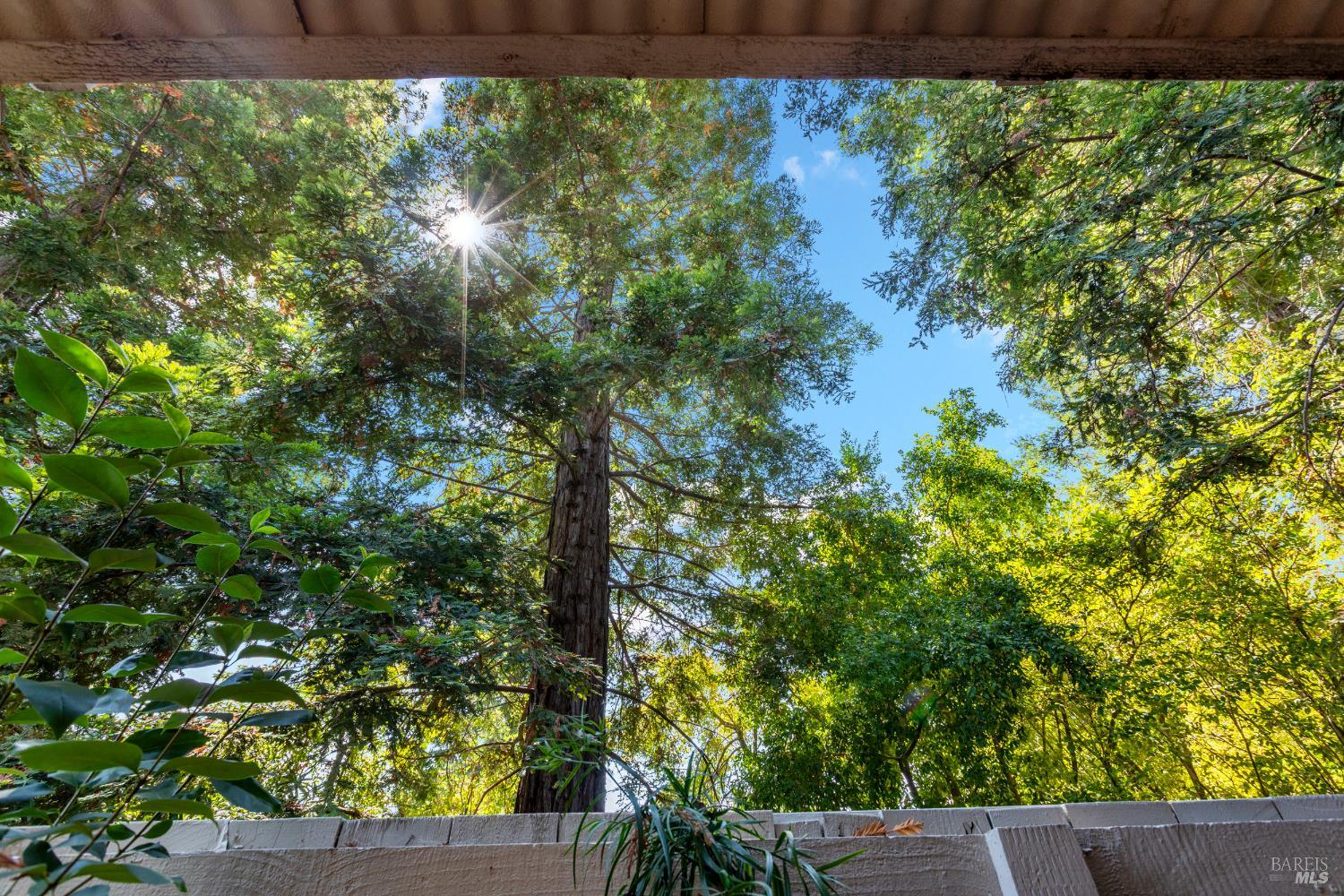 Detail Gallery Image 9 of 26 For 771 W Spain St, Sonoma,  CA 95476 - 1 Beds | 1 Baths
